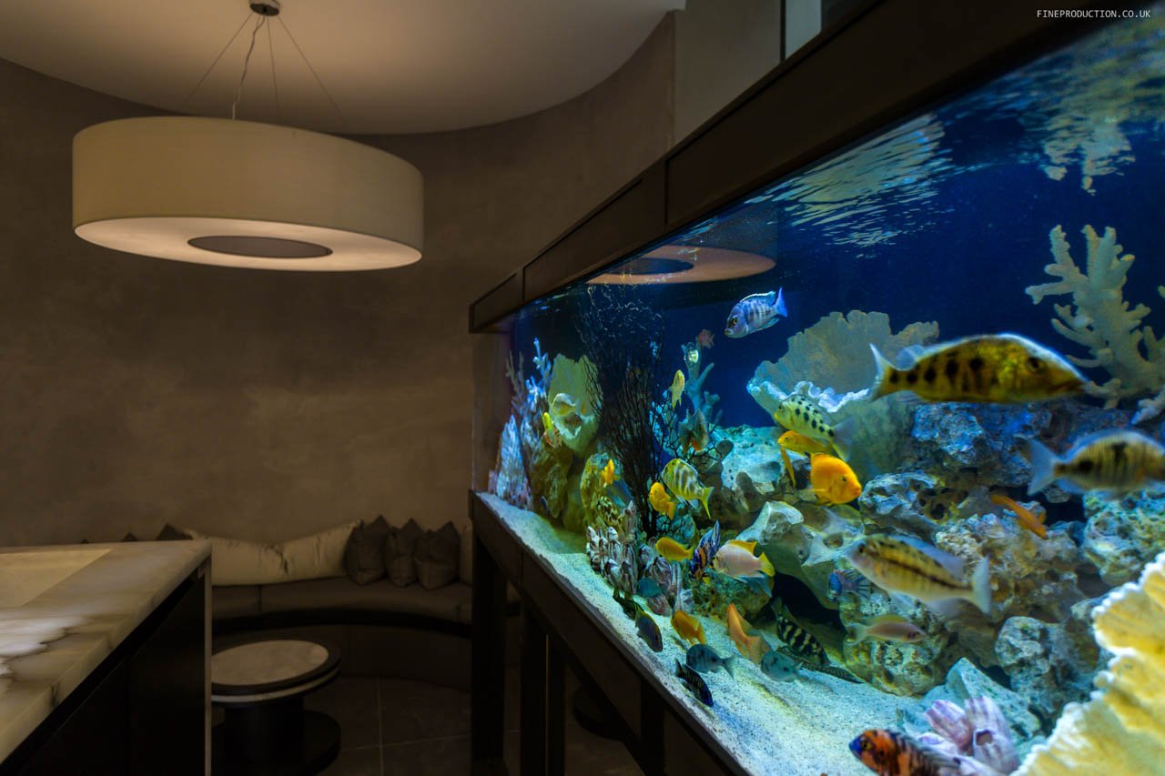 London Aquarium Coral Reef Display