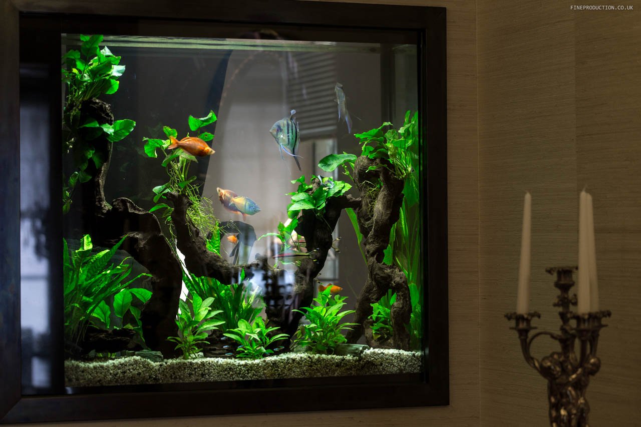 London Aquarium Residential Aquarium Project