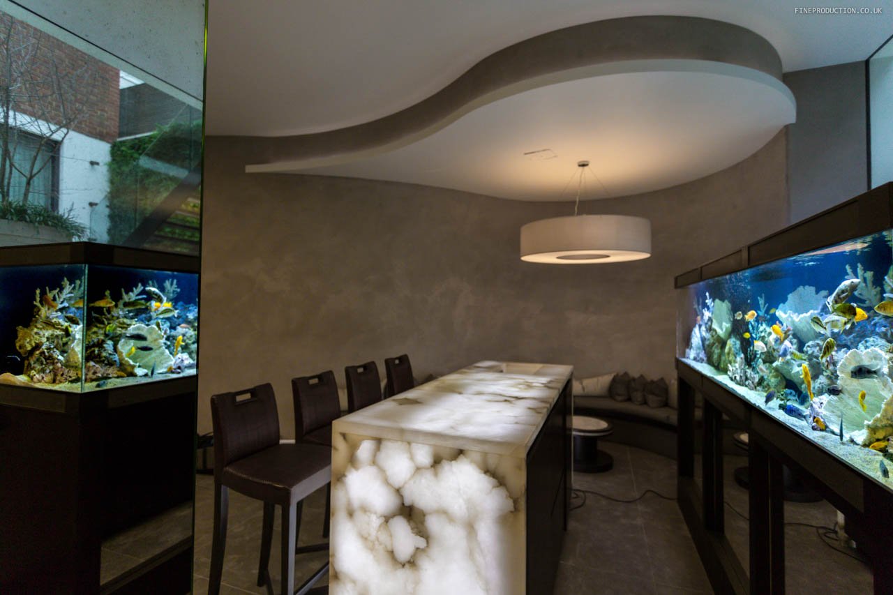 London Aquarium Featured Aquatic Exhibit